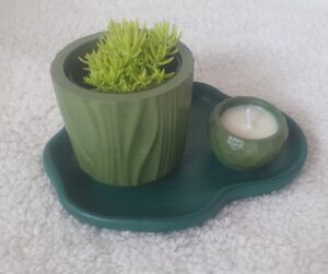 Kit bandeja irregular com vela perfumada e uma suculenta